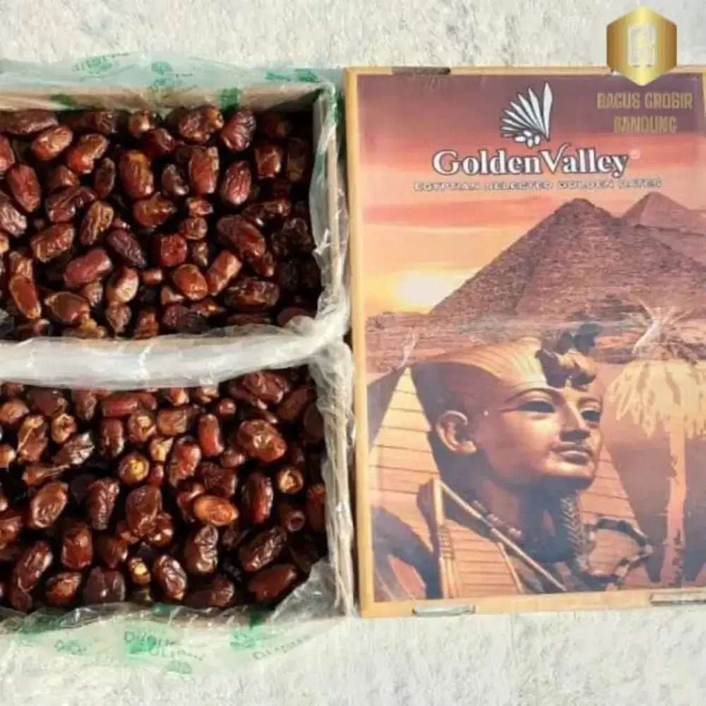 Kurma mesir Golden Valey