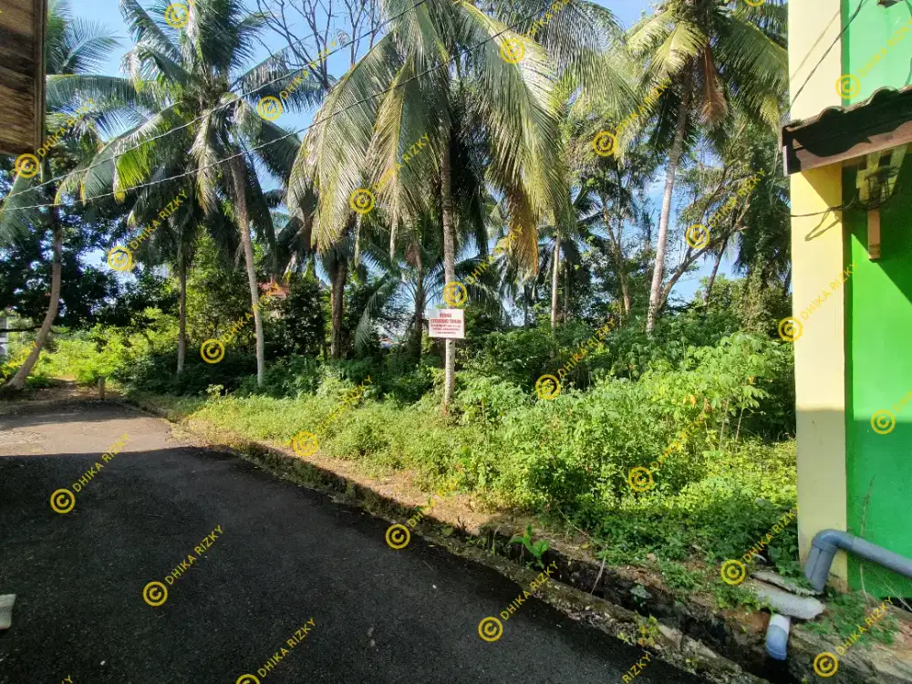 DIJUAL TANAH LOKASI LOKTABAT UTARA DEKAT JALAN A.YANI KM 33 BANJARBARU