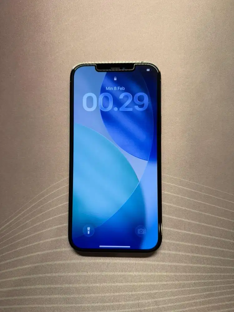 Iphone 12 Promax 128GB Graphite