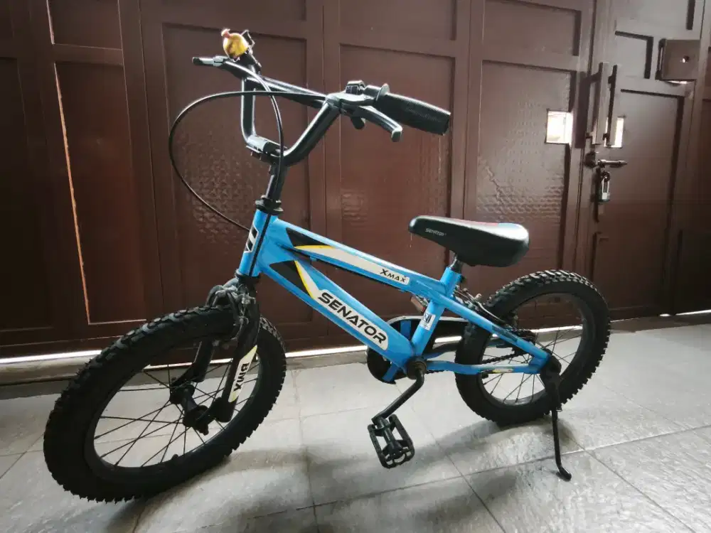 Cuci Gudang! Sepeda Anak Mulus