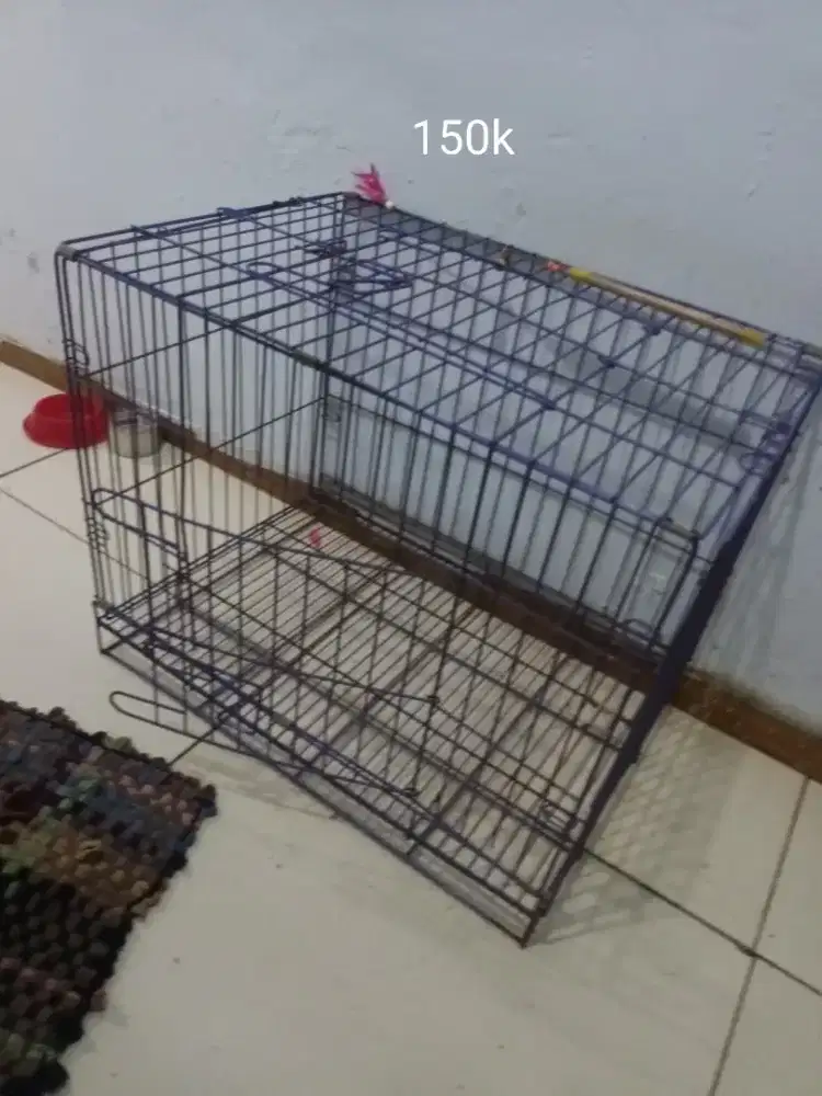 Kandang kucing sedang
