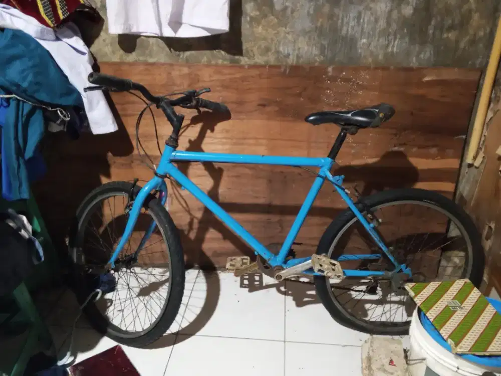Jual sepeda biasa