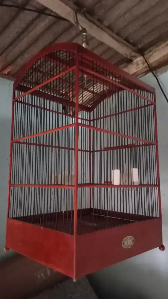 kandang kotak no 2 dan kandang besi lovebird