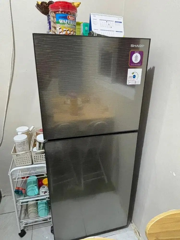 Kulkas sharp 2 pintu