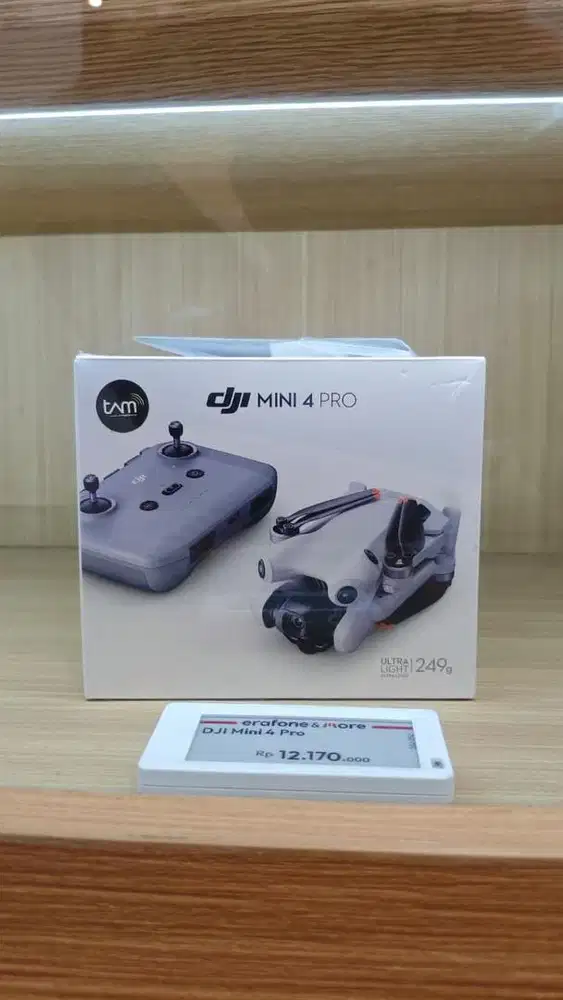 DJI MINI 4 PRO (RC 2)
