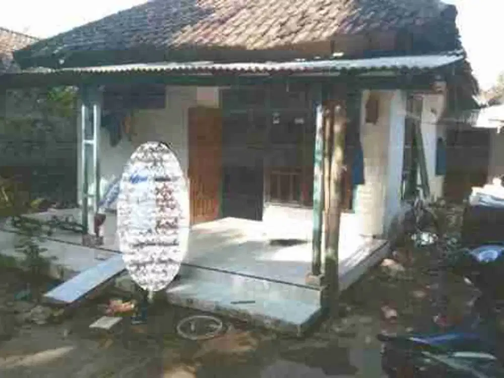 DIJUAL RUMAH 
KEL. : PUCANGSIMO
KEC  : BANDARKEDUNGMULYO
KAB  : JOMBANG