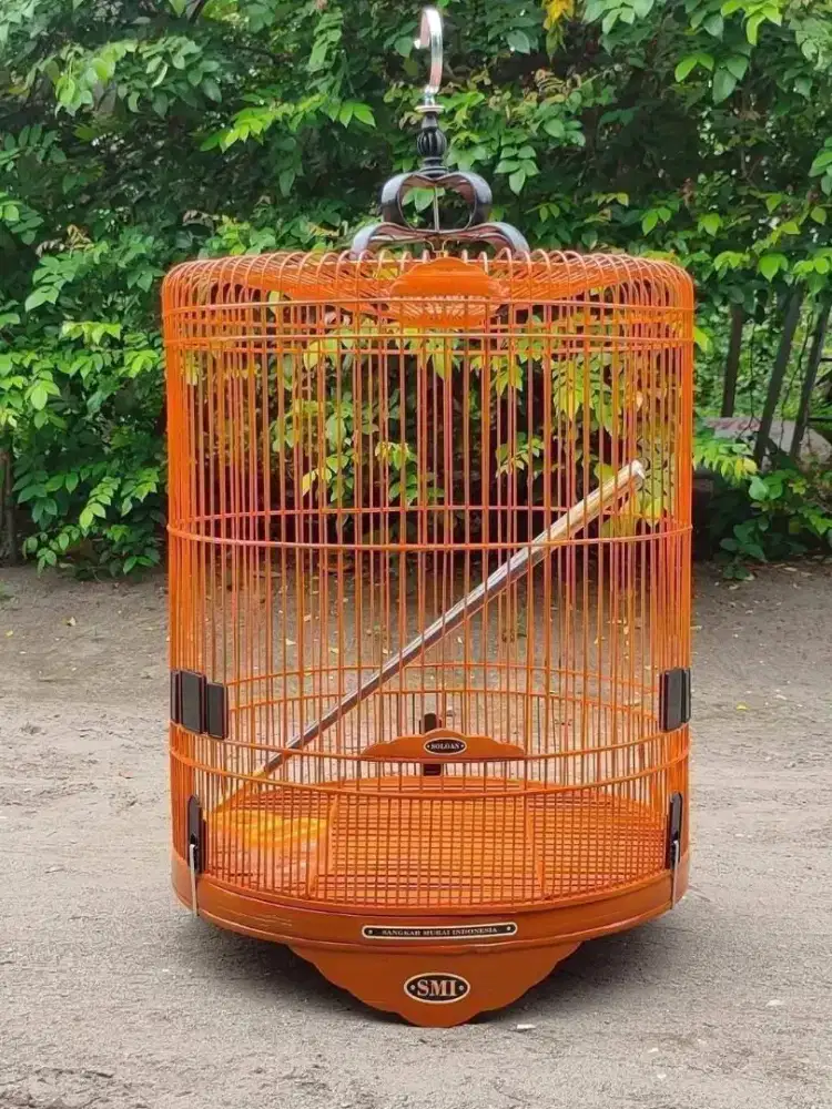 Sangkar murai terbaik
