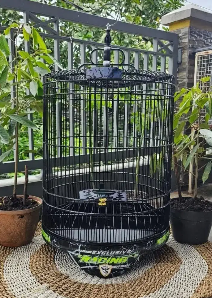 Sangkar murai terbaik
