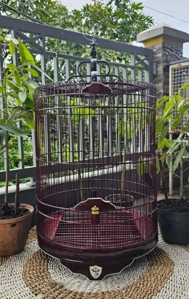 Sangkar murai terbaik