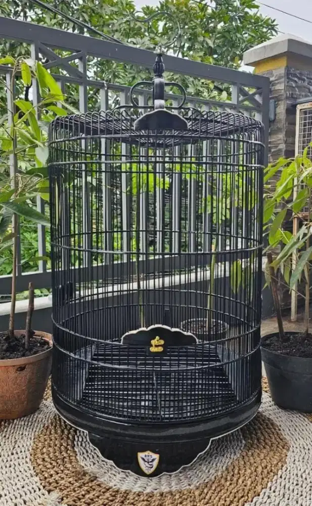 Sangkar kandang murai terbaik