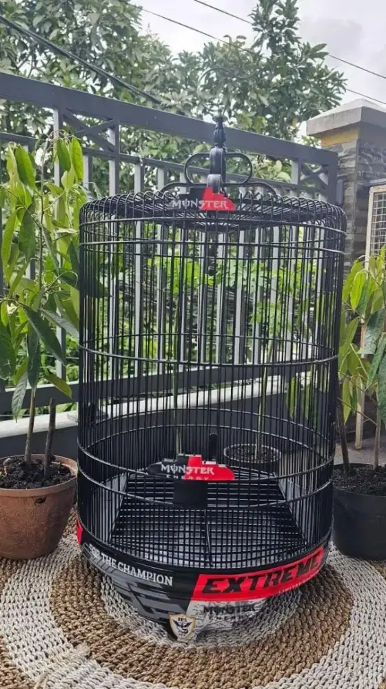 Sangkar kandang murai terbaik