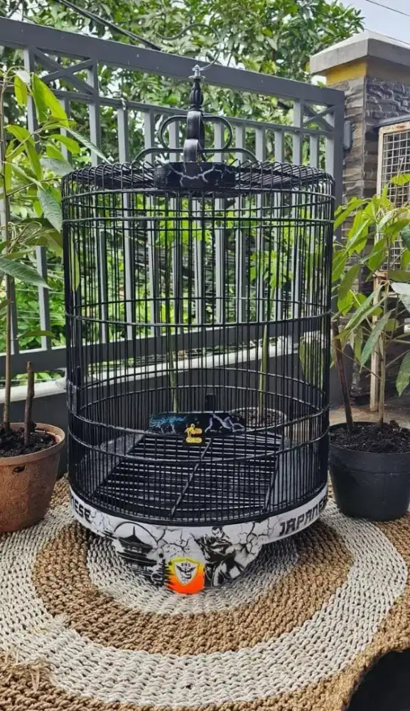 Sangkar kandang murai terbaik