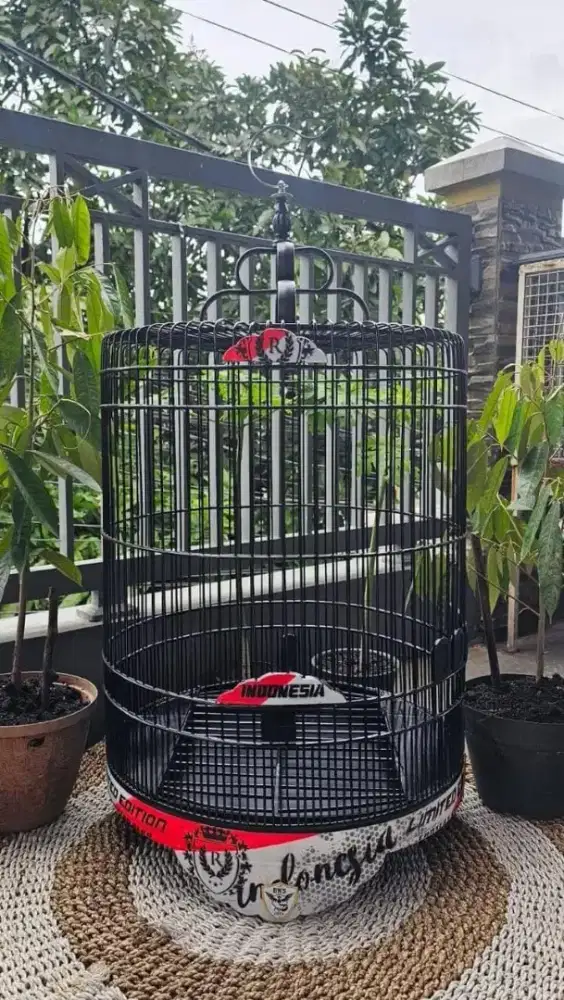 Sangkar kandang murai terbaik