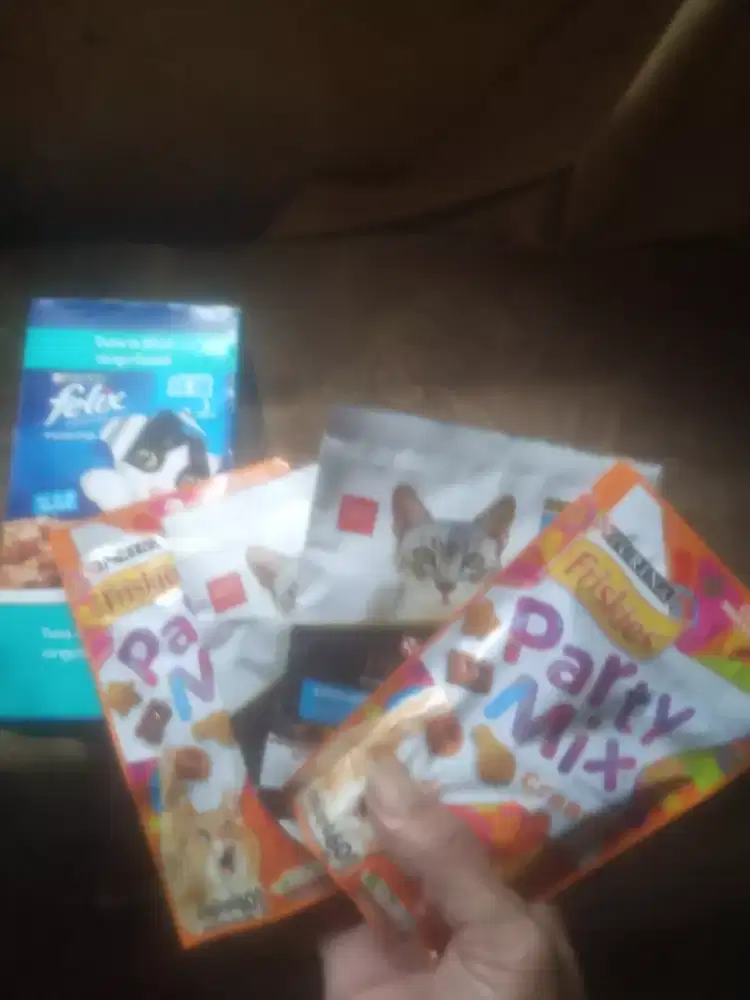 Felix Makanan kucing anggota.