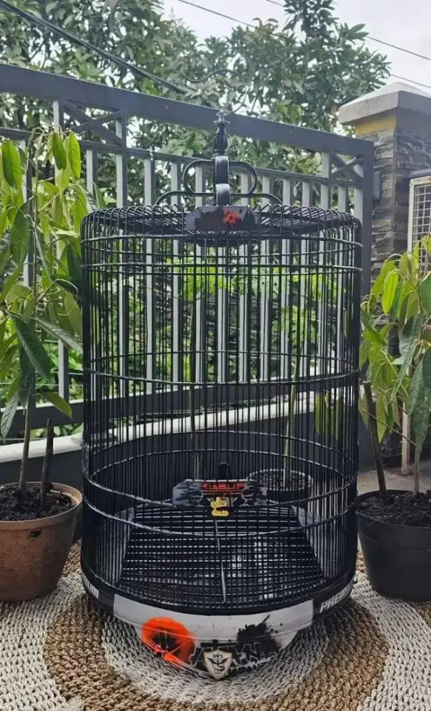 Sangkar kandang murai terbaik