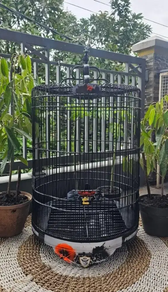 Sangkar kandang murai terbaik