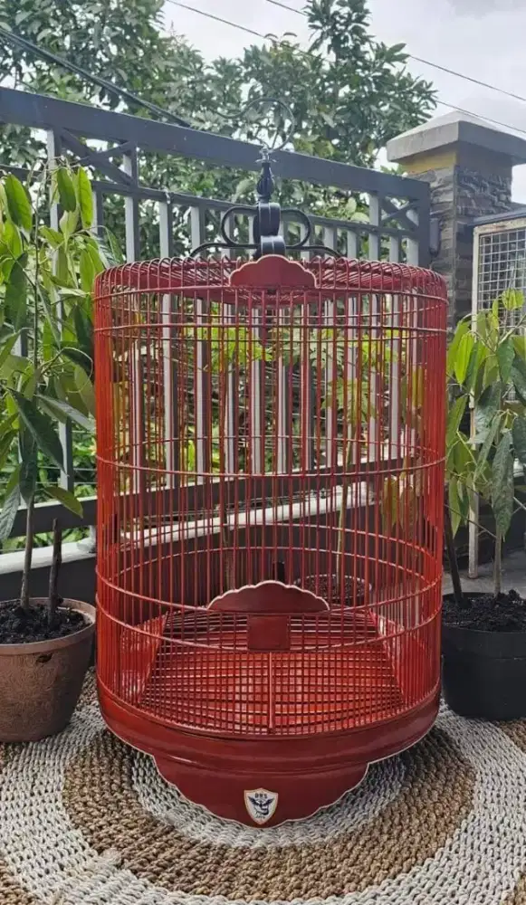 Sangkar kandang murai terbaik