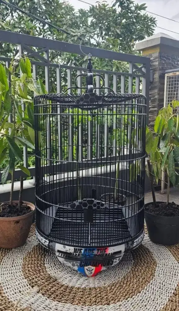 Sangkar kandang murai terbaik