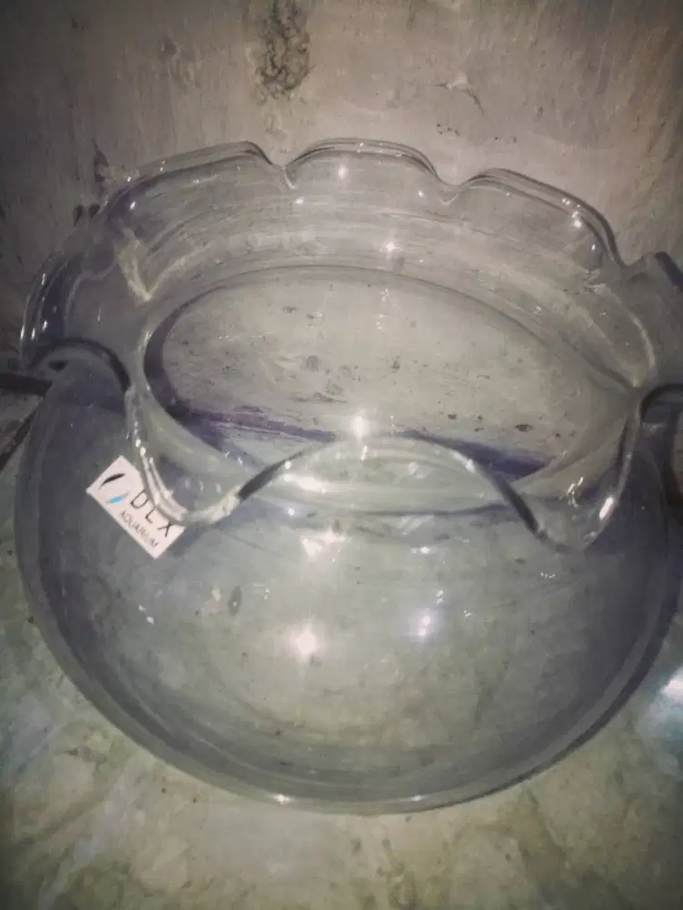 Dijual Aquarium ikan cupang.