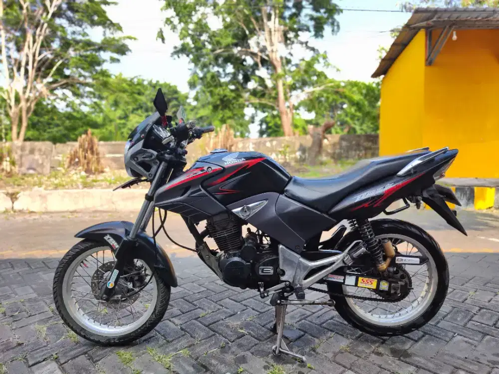 Tiger Revolution 2012