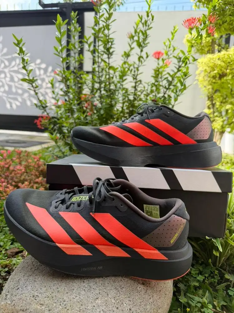 Jual Adidas Adizero Evo SL Running Shoes – Black / Lucid Red