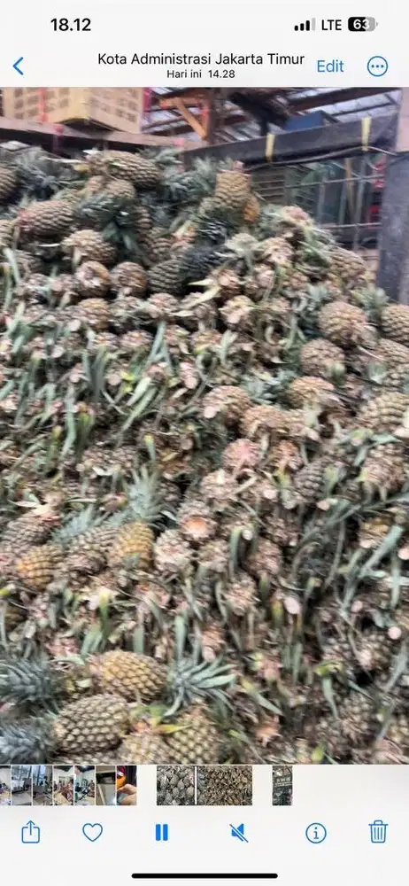 DICARI PENGPUPAS NANAS PROFESIONAL