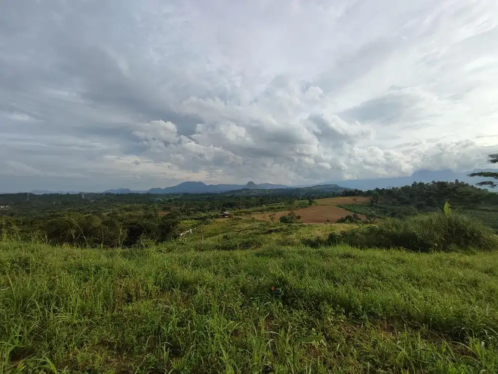 DIJUAL CEPAT! LAHAN 8.000 M² LOKASI SUKAMAKMUR