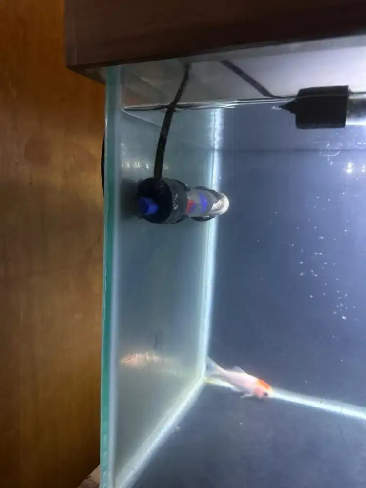 Aquarium fullset Kabinet 60x30x30