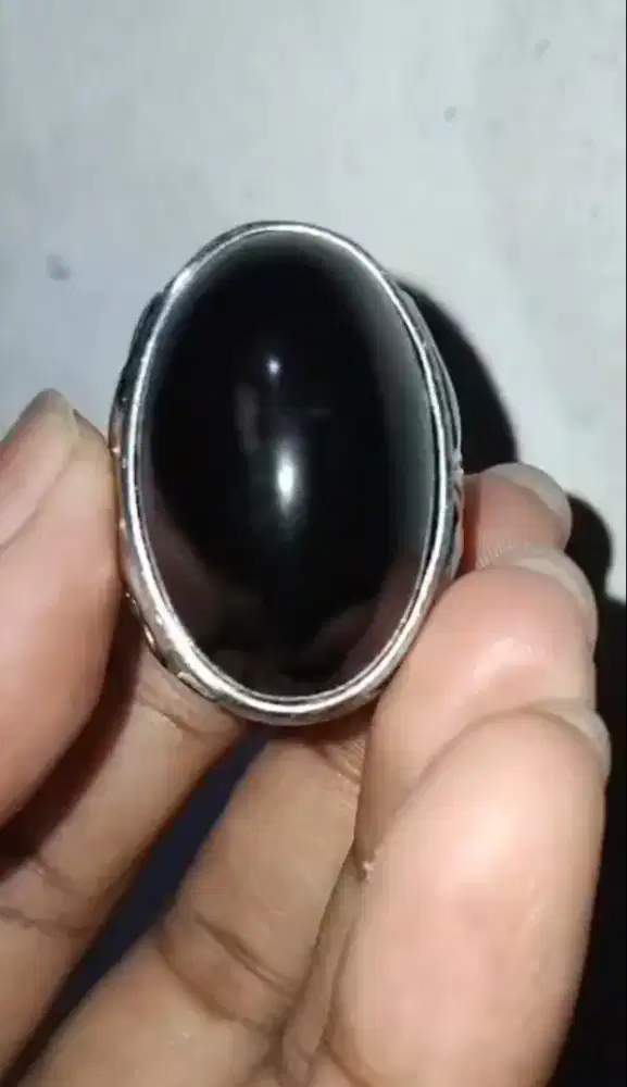 Batu cincin fosil gali kelor hitam
