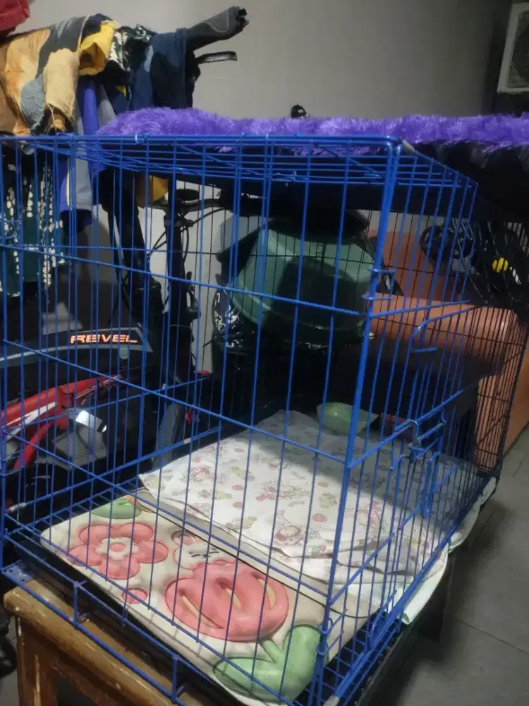 Kandang besi kucing ukuran jumbo tingkat 2