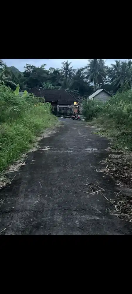 Dijual tanah murah,1,2 are di tulikup gianyar bali