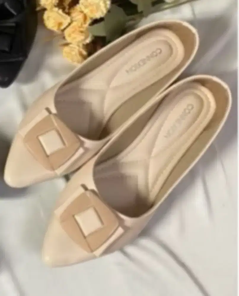 Flatshoes connexion murah