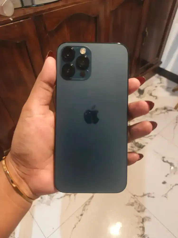 Jual BU Iphone 12Promax 128G/b inter