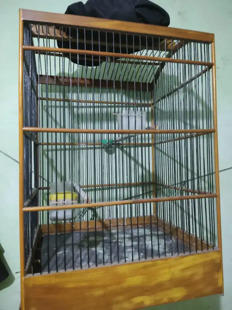 Kandang sangkar burung kotak no2