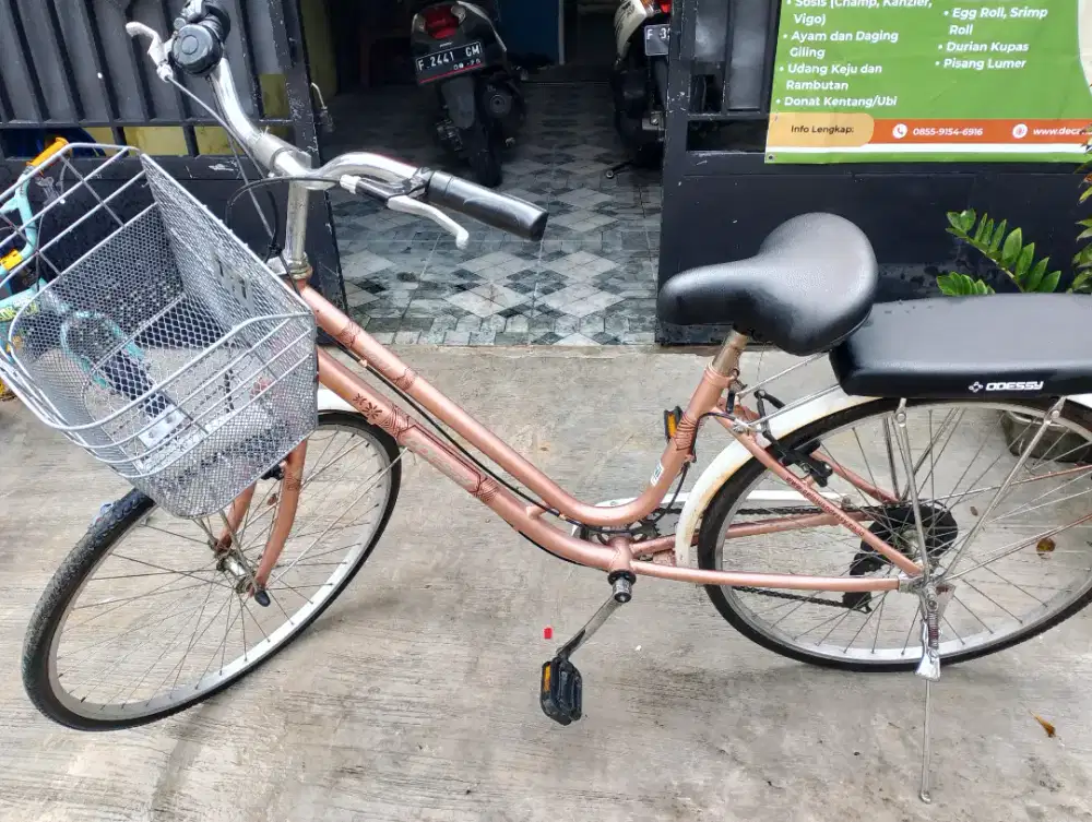 Sepeda perempuan merek oodessy