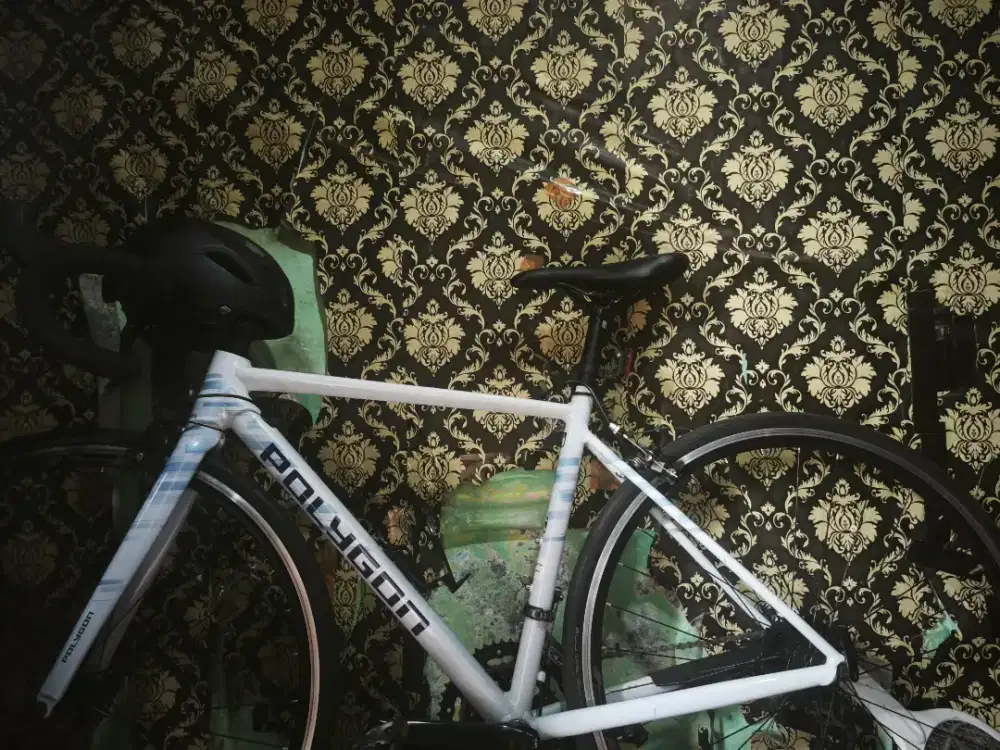 Roadbike Polygon Strattos S2