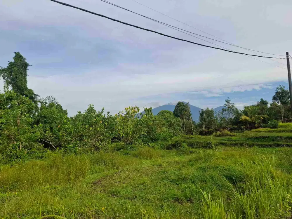 tanah kebun view gunung, view sawah dan los sungai kecil