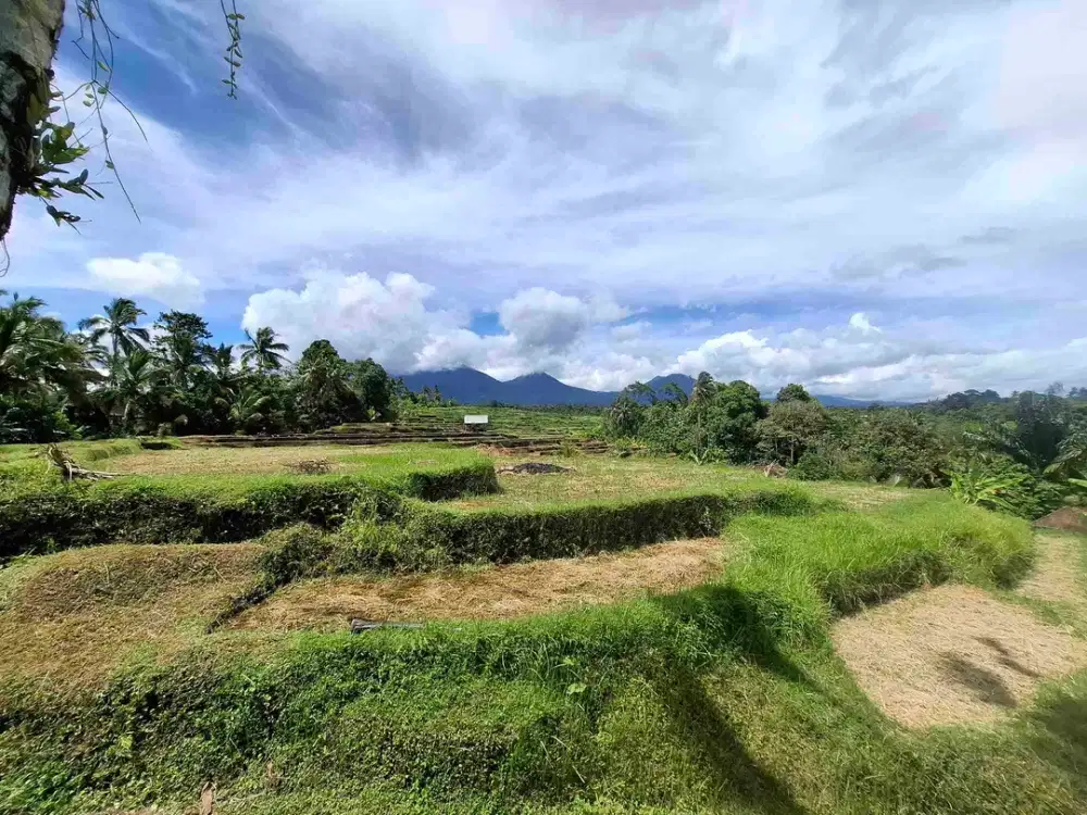 dijual tanah sawah view 5 gunung di bali