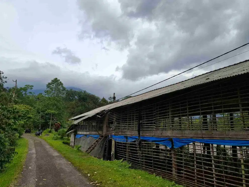 tanah 10 are dekat jatiluih dengan view gunung