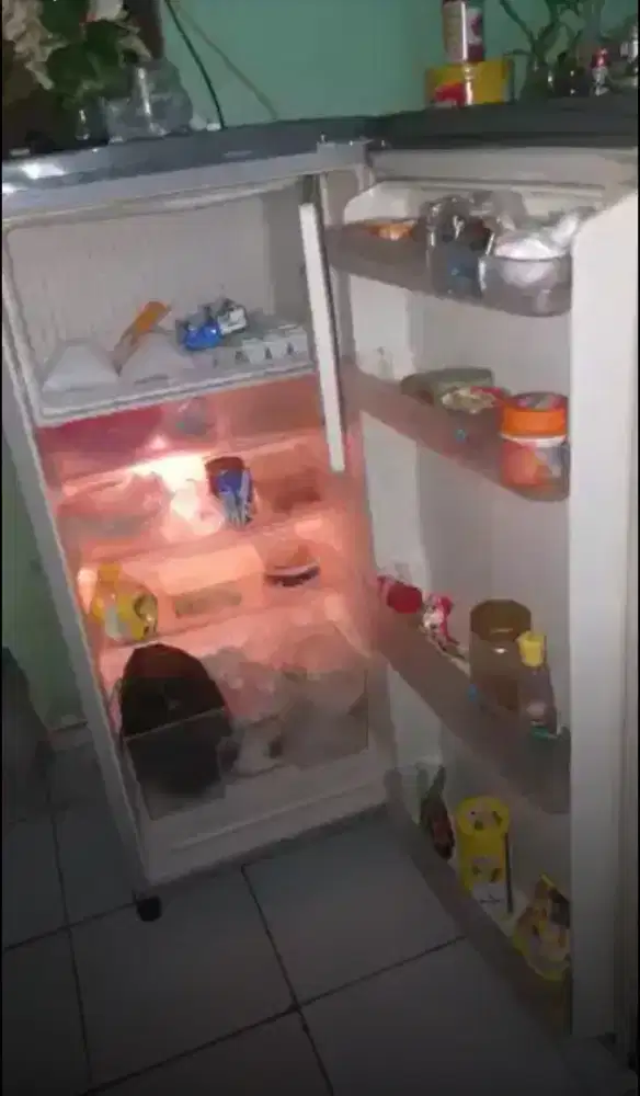 Kulkas 1 pntu 50 watt sgt dngin beku lengkap bersih free ongkir llmove