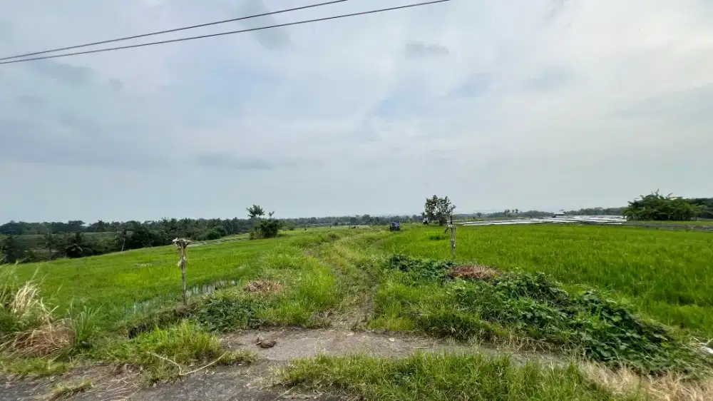 Dijual Tanah Luasan Kecil View Sawah Dekat Pantai Tabanan Bali