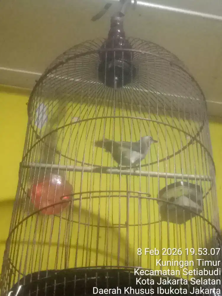 JUAL SANTAI TAPI PASTI