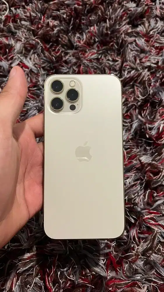 Iphone 12 Pro Max 256 Gb Inter All Provider