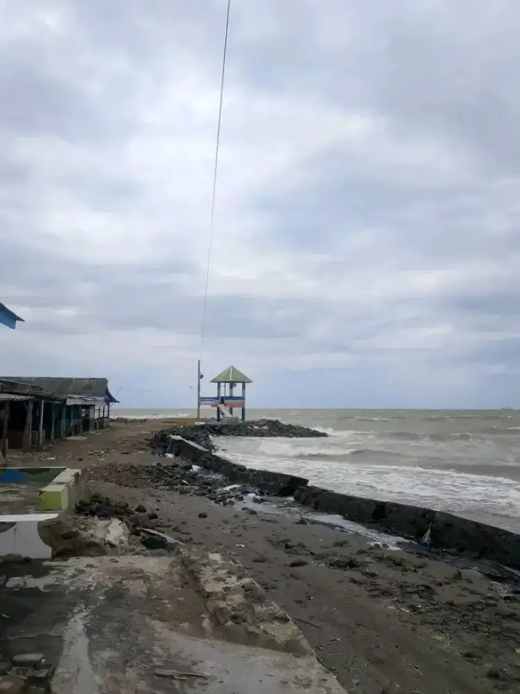 Penyalur langsung majikan