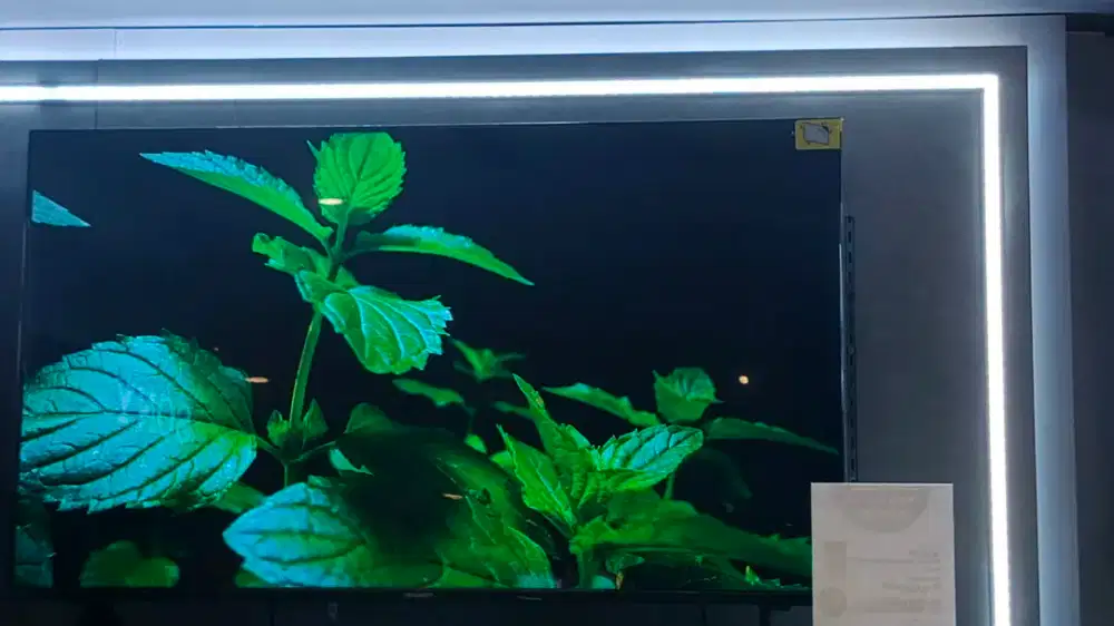 Sharp Led Google TV 4K 43 inch. Gratis ongkos kirim