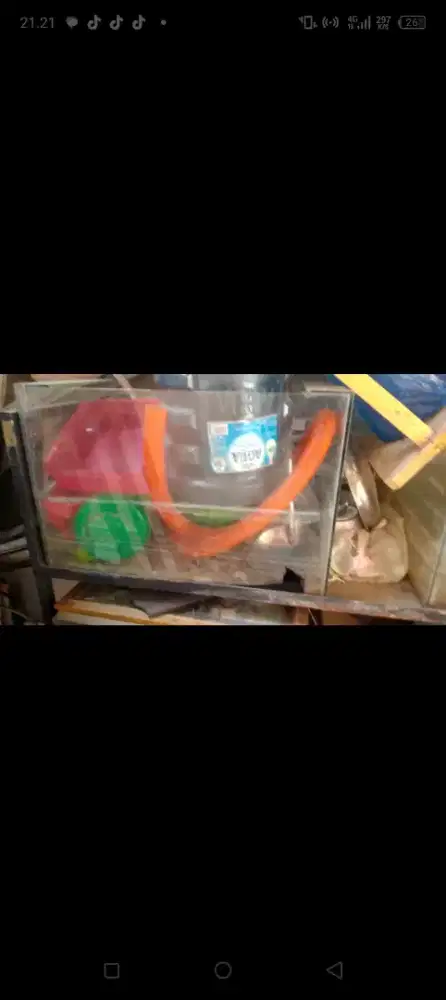 Dijual aquarium 80x20x20