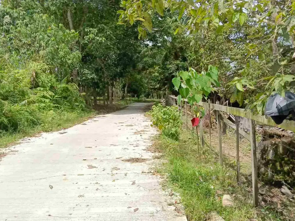 Bismillah dijual Tanah Termurah prospek untuk kebun, ternak dan invest jangka panjang