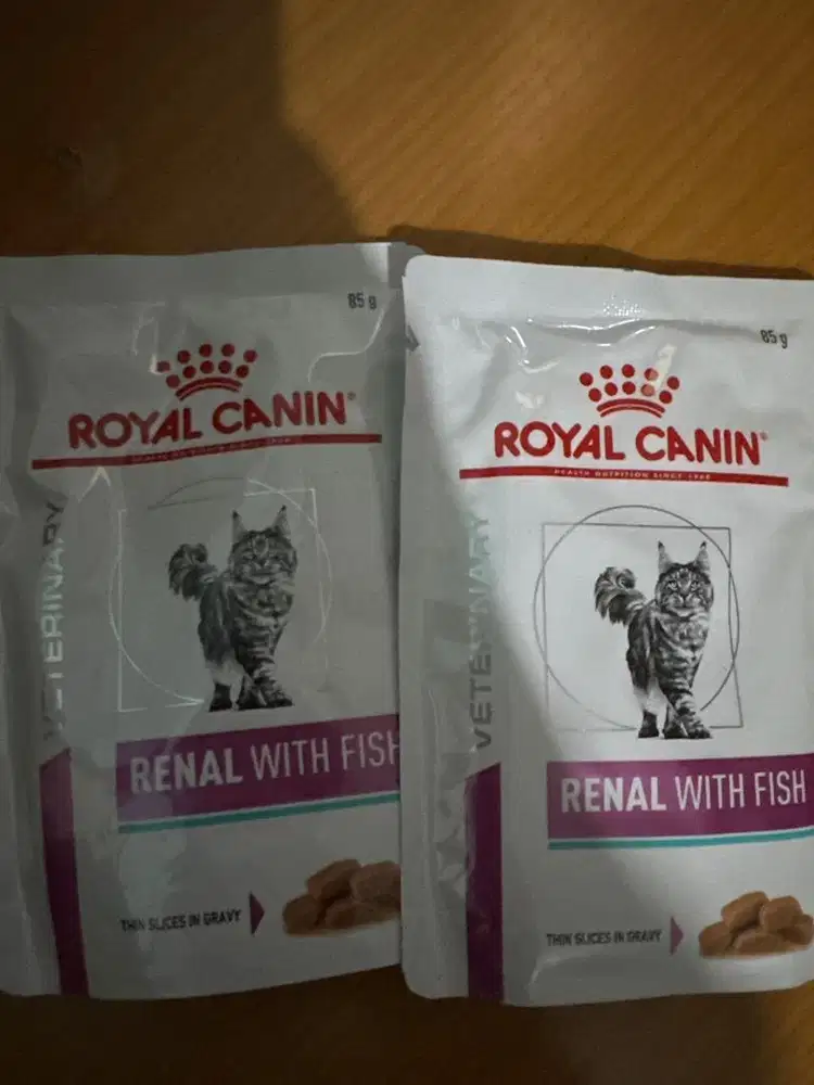 Royal canin renal with fish