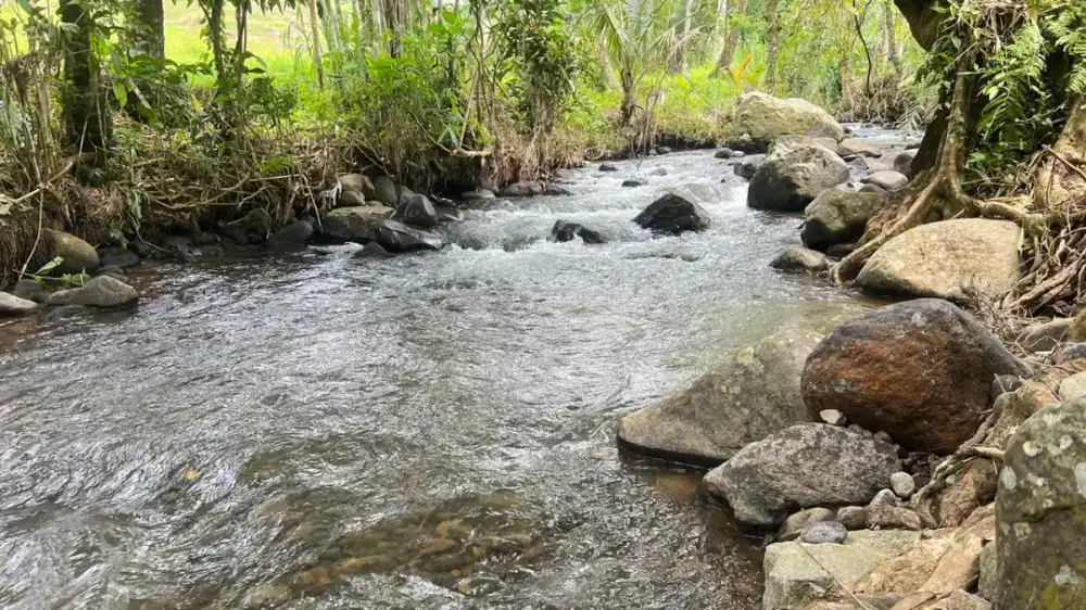 Dijual Tanah View Sawah Terasering Los Sungai Tabanan Bali