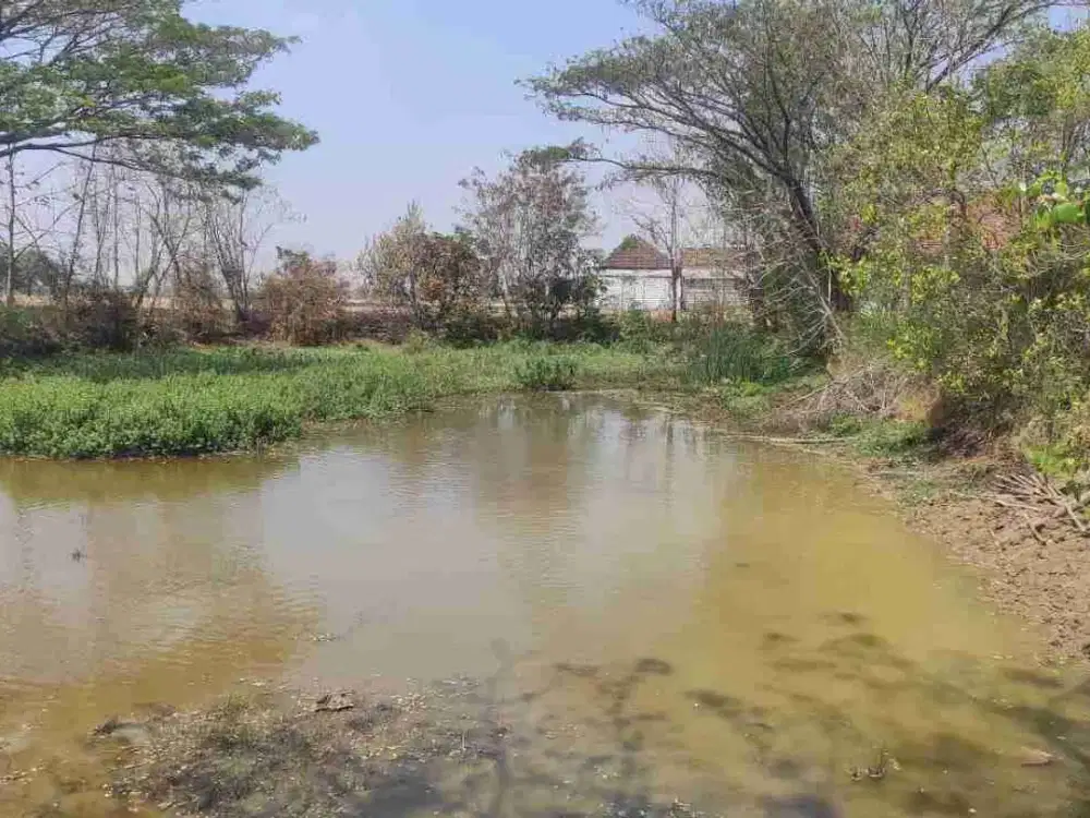DIJUAL TANAH

KEL. : BERU
KEC  : SARIREJO
KAB  : LAMONGAN